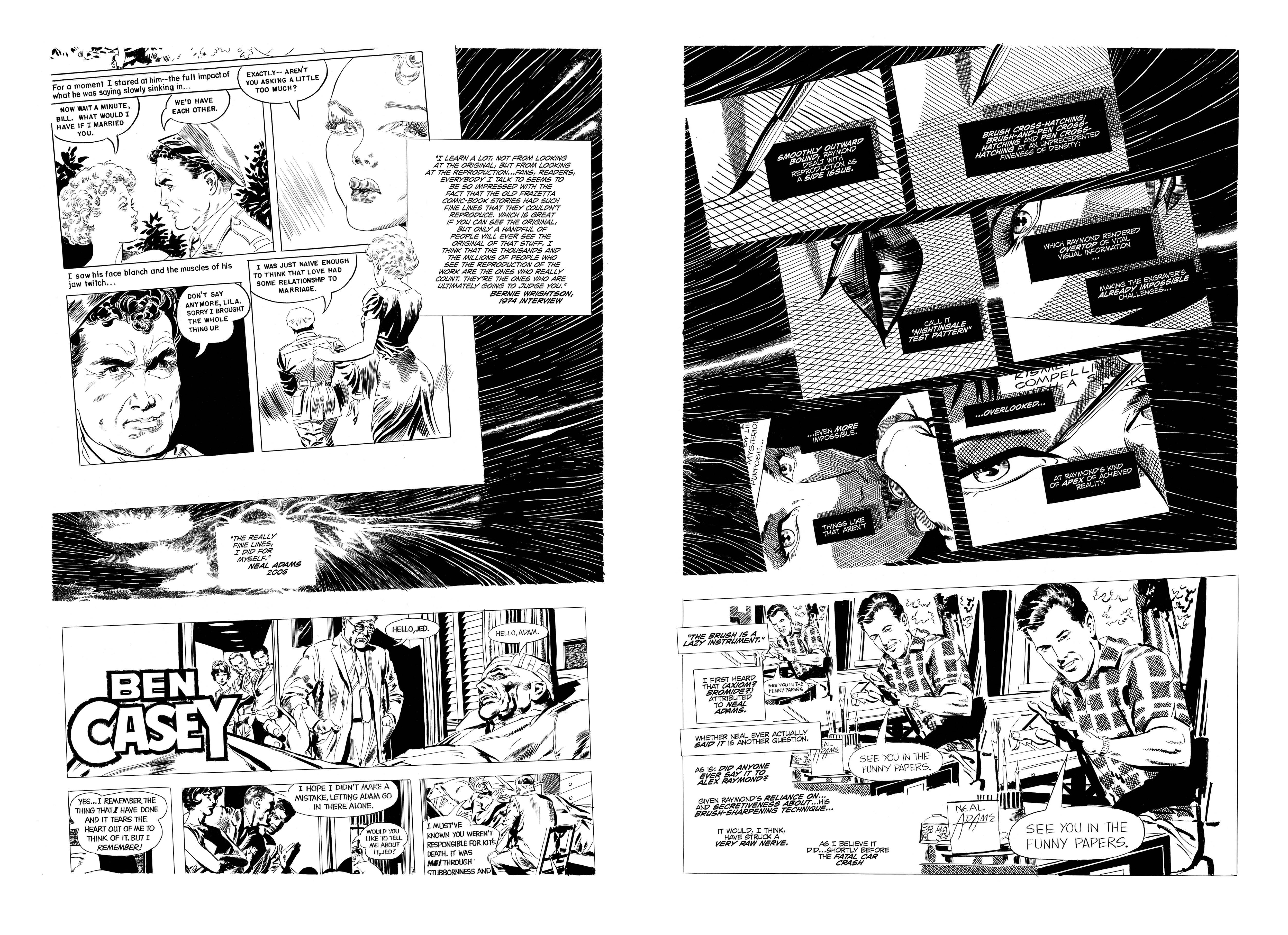 Read online The Strange Death Of Alex Raymond comic -  Issue # TPB - 97