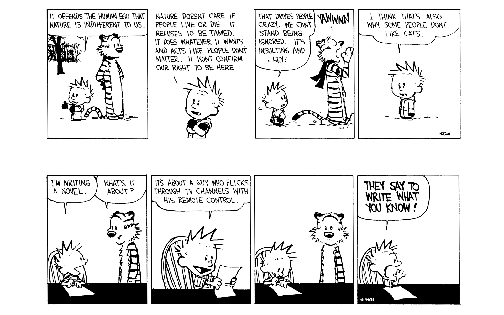 Read online Calvin and Hobbes comic -  Issue #10 - 109