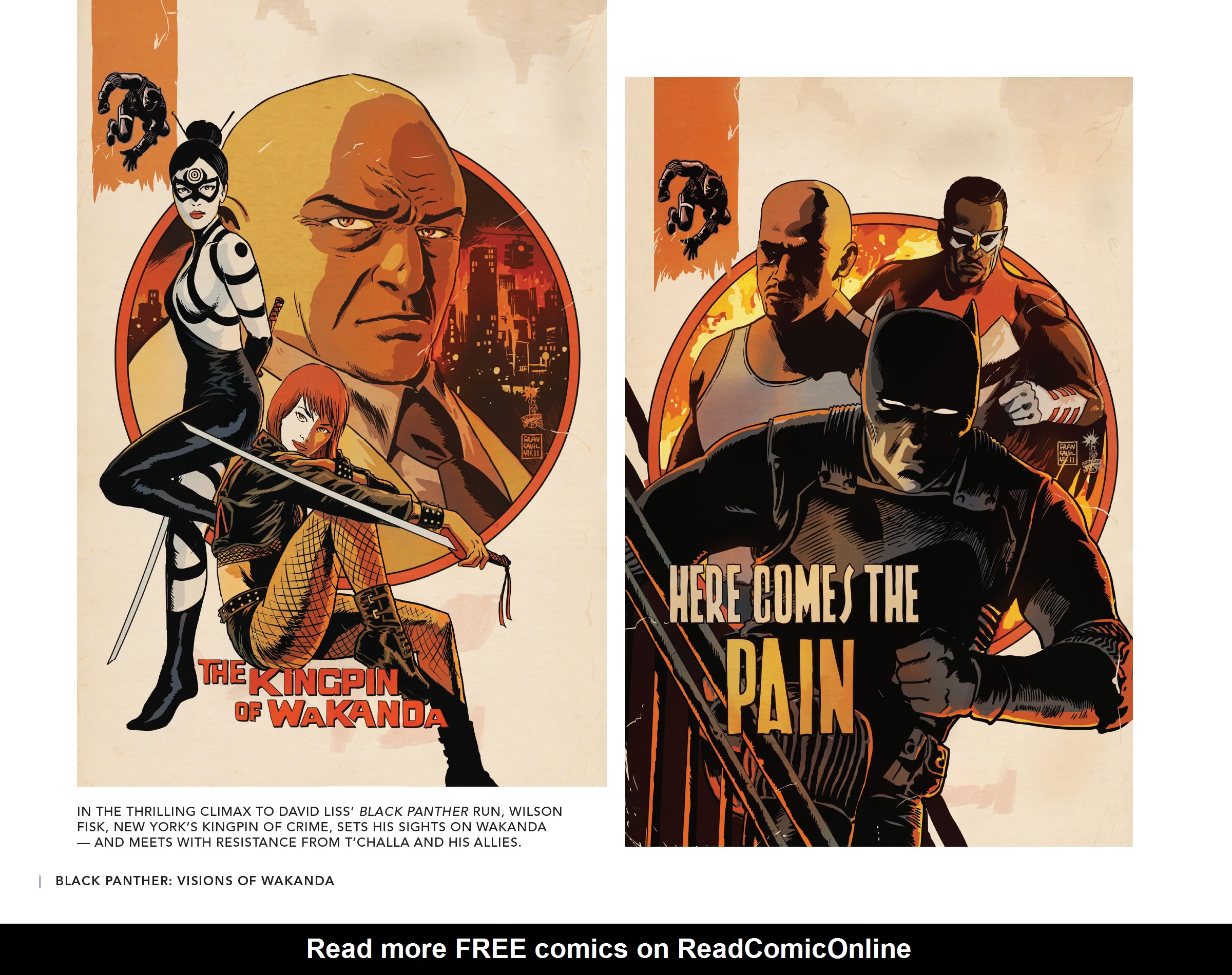 Read online Black Panther: Visions of Wakanda comic -  Issue # TPB (Part 3) - 48