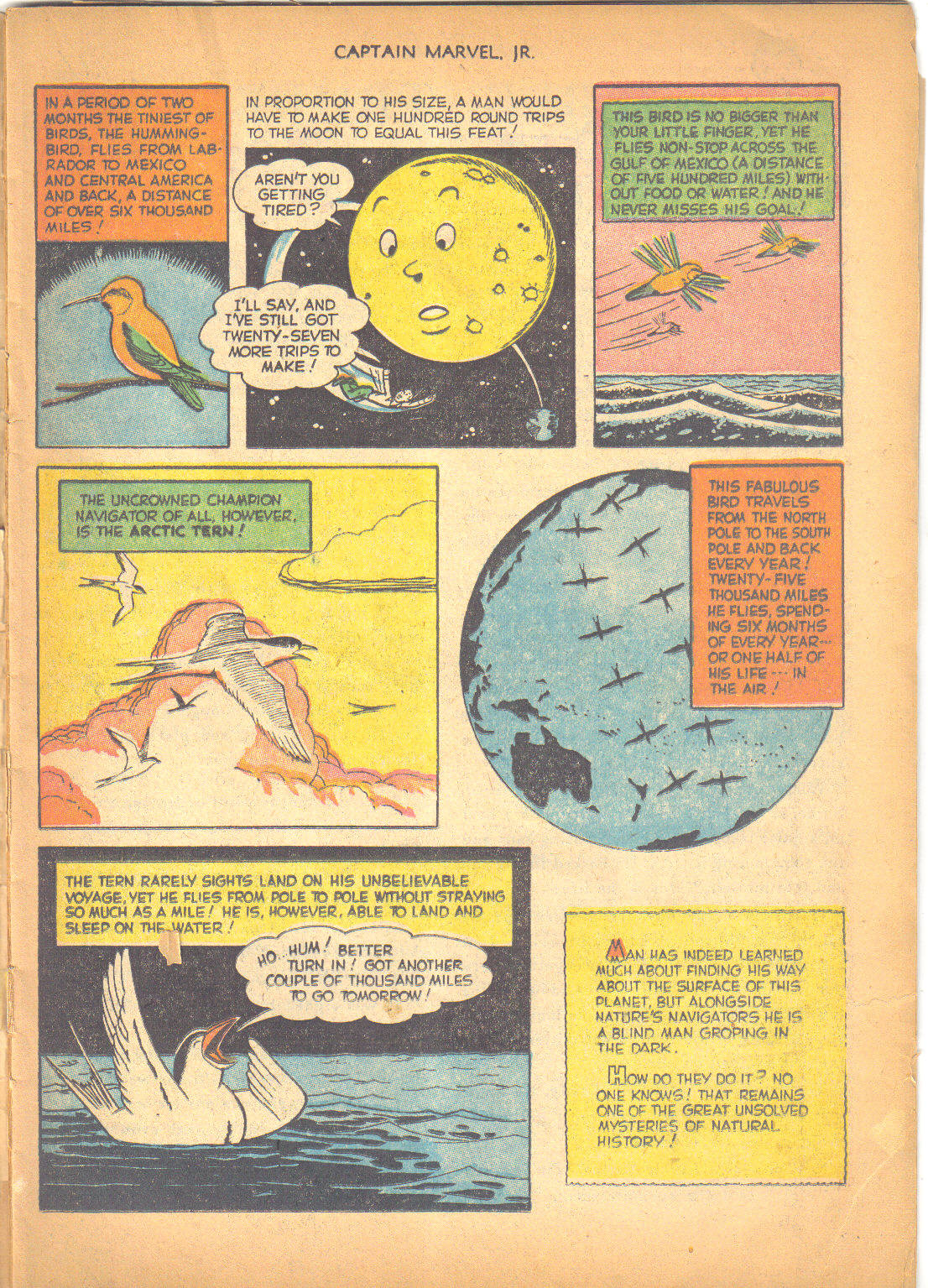 Read online Captain Marvel, Jr. comic -  Issue #117 - 15