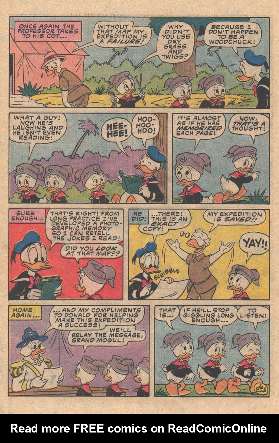 Read online Huey, Dewey, and Louie Junior Woodchucks comic -  Issue #74 - 20