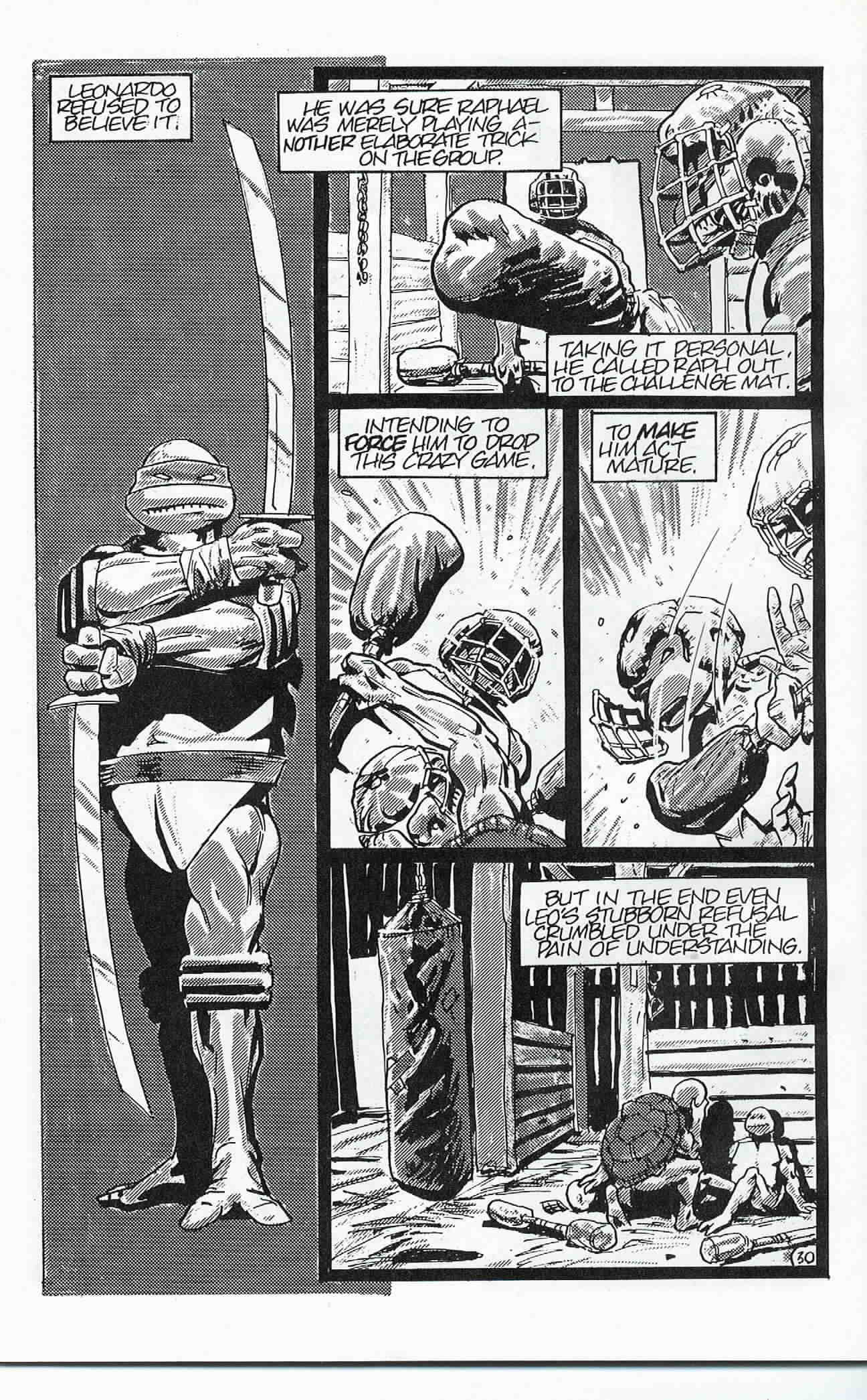Read online Teenage Mutant Ninja Turtles (1984) comic -  Issue #24 - 31