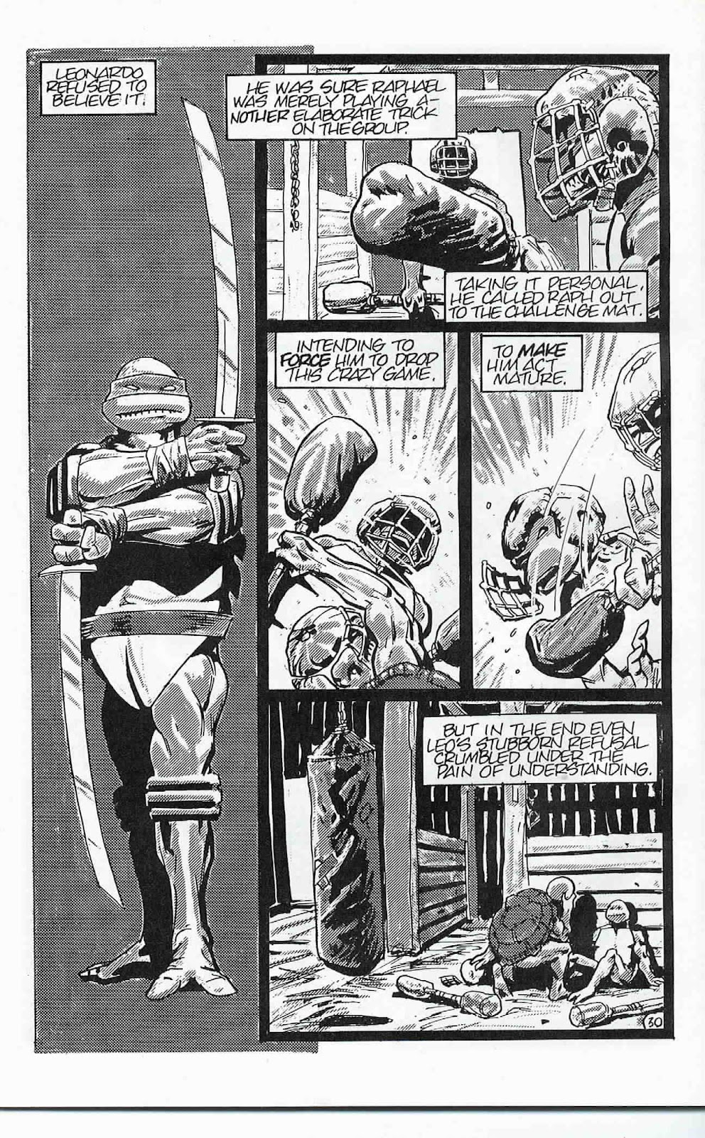 Teenage Mutant Ninja Turtles (1984) Issue #24 #24 - English 31