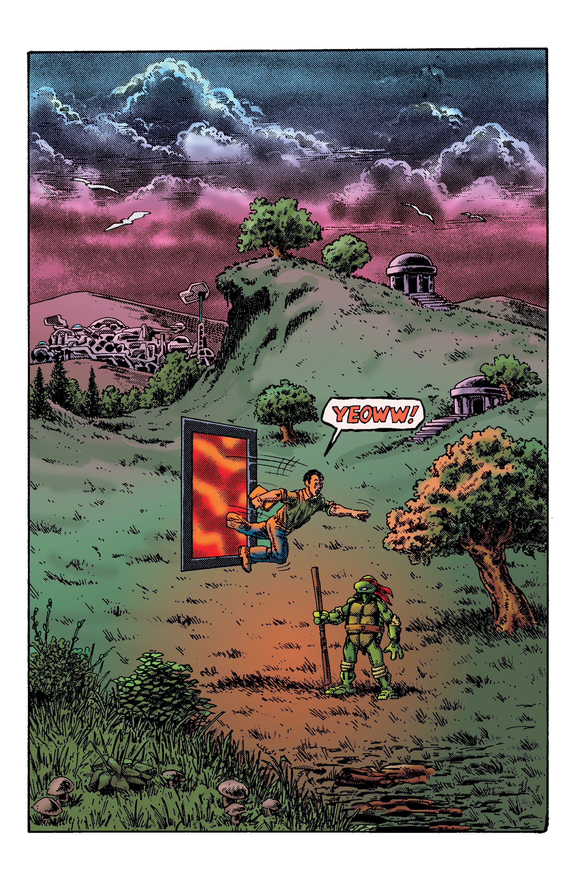 Read online Teenage Mutant Ninja Turtles: Best Of comic -  Issue # Donatello - 14