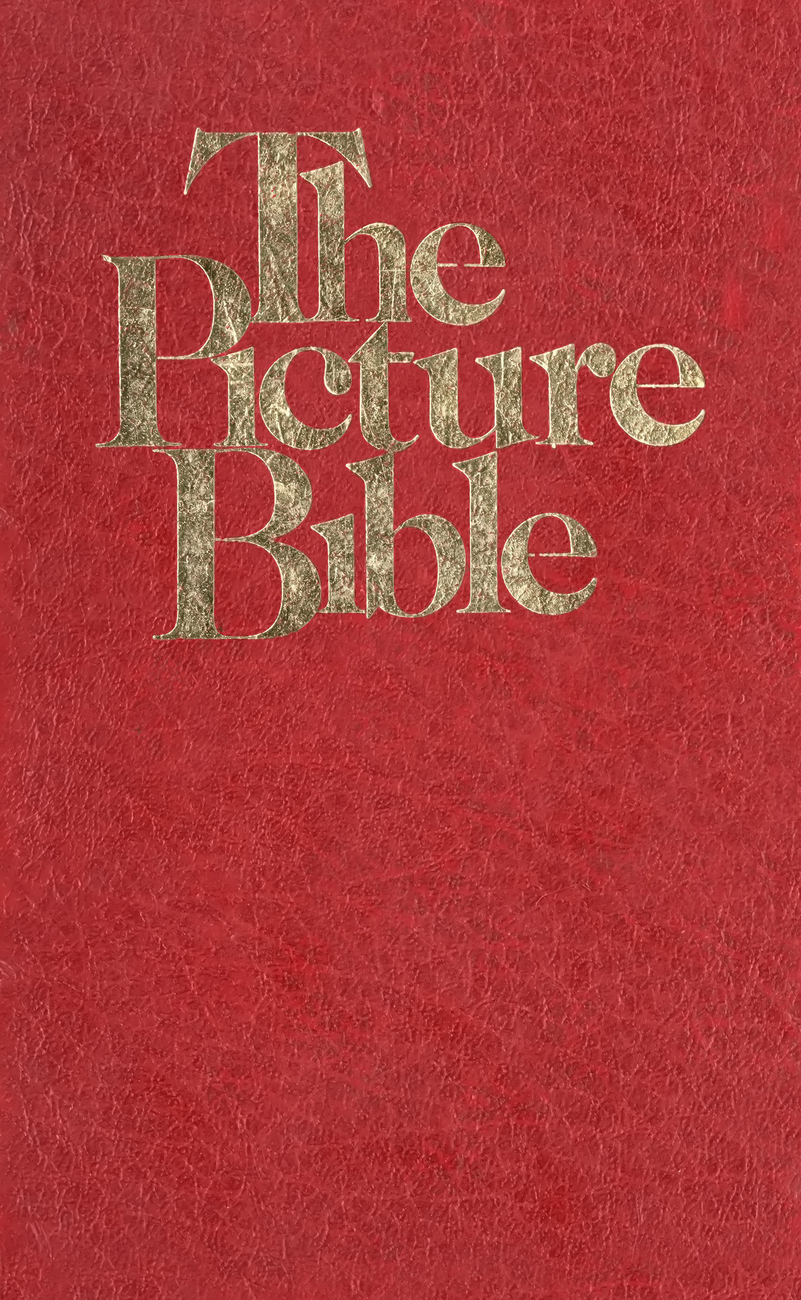 Read online The Picture Bible comic -  Issue # TPB (Part 1) - 1