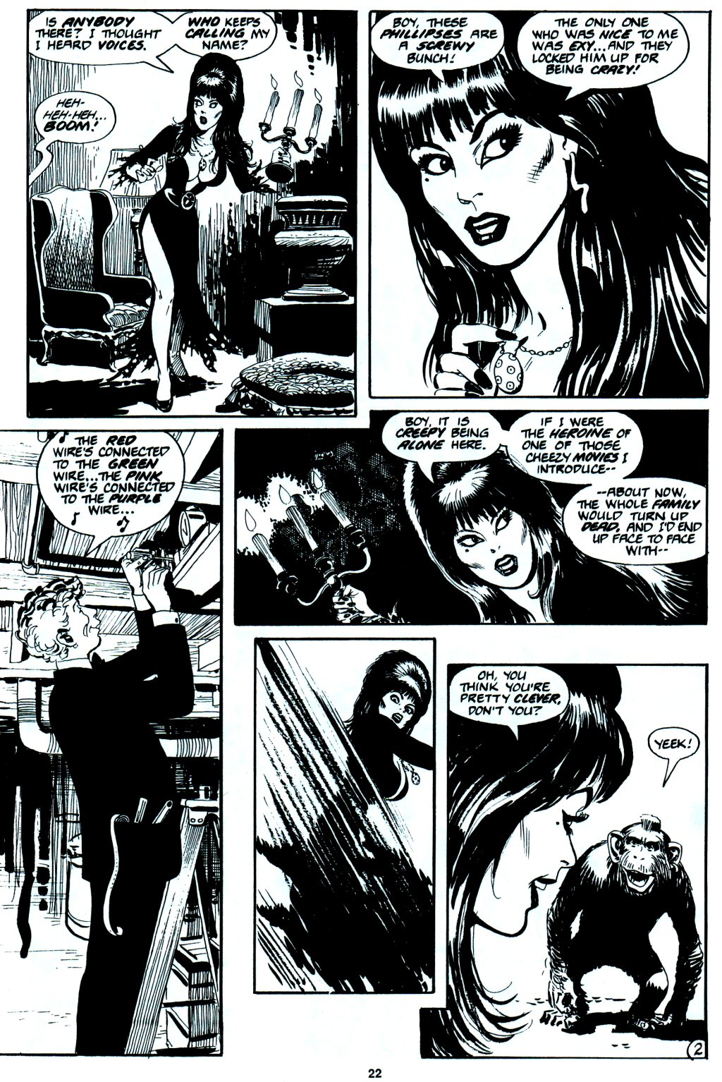 Read online Elvira, Mistress of the Dark comic -  Issue #5 - 24