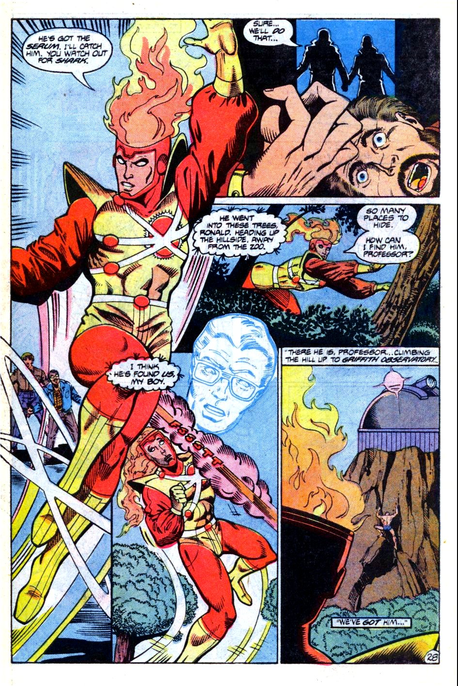 Read online The Fury of Firestorm comic -  Issue # _Annual 4 - 29