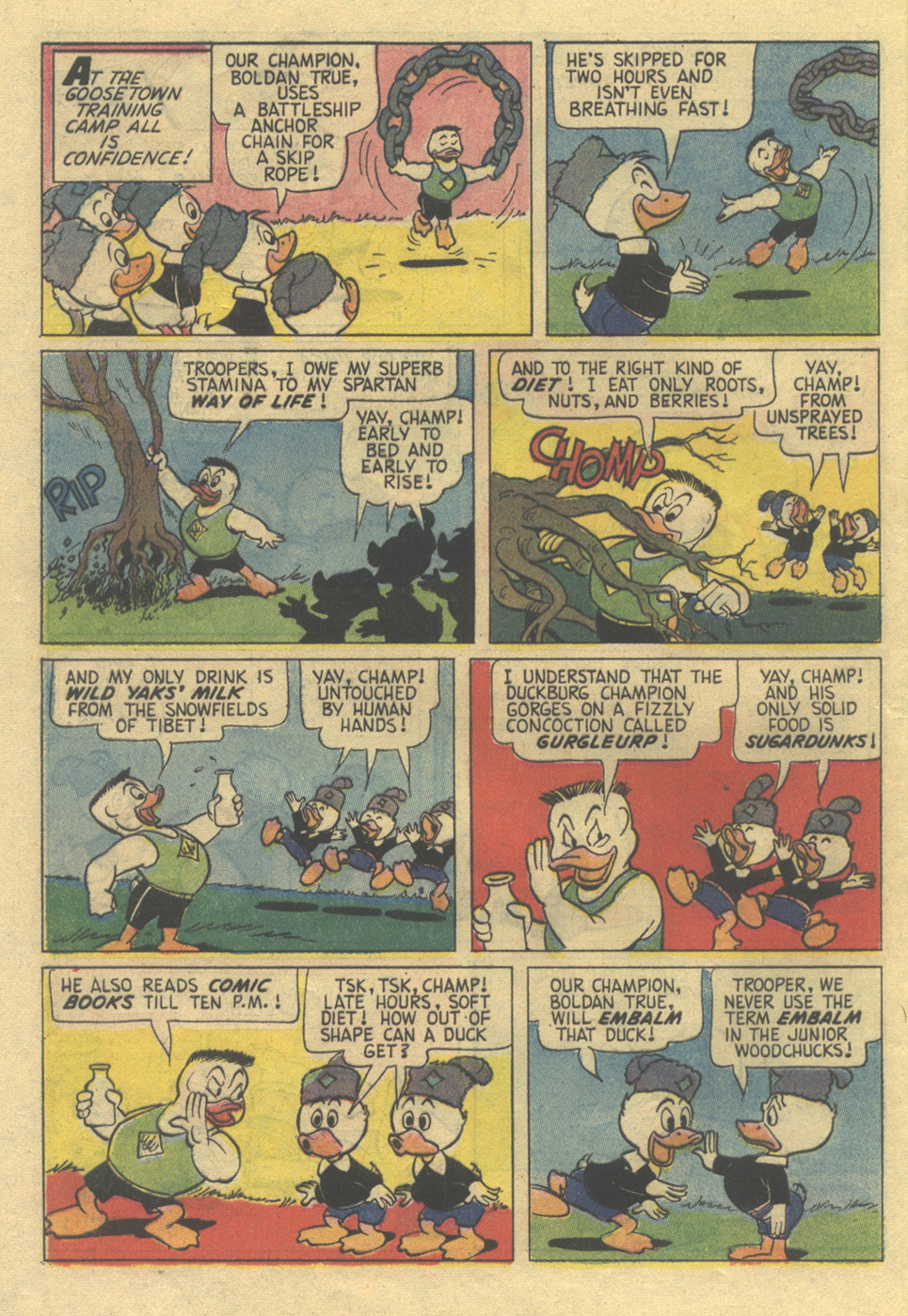 Read online Huey, Dewey, and Louie Junior Woodchucks comic -  Issue #22 - 28