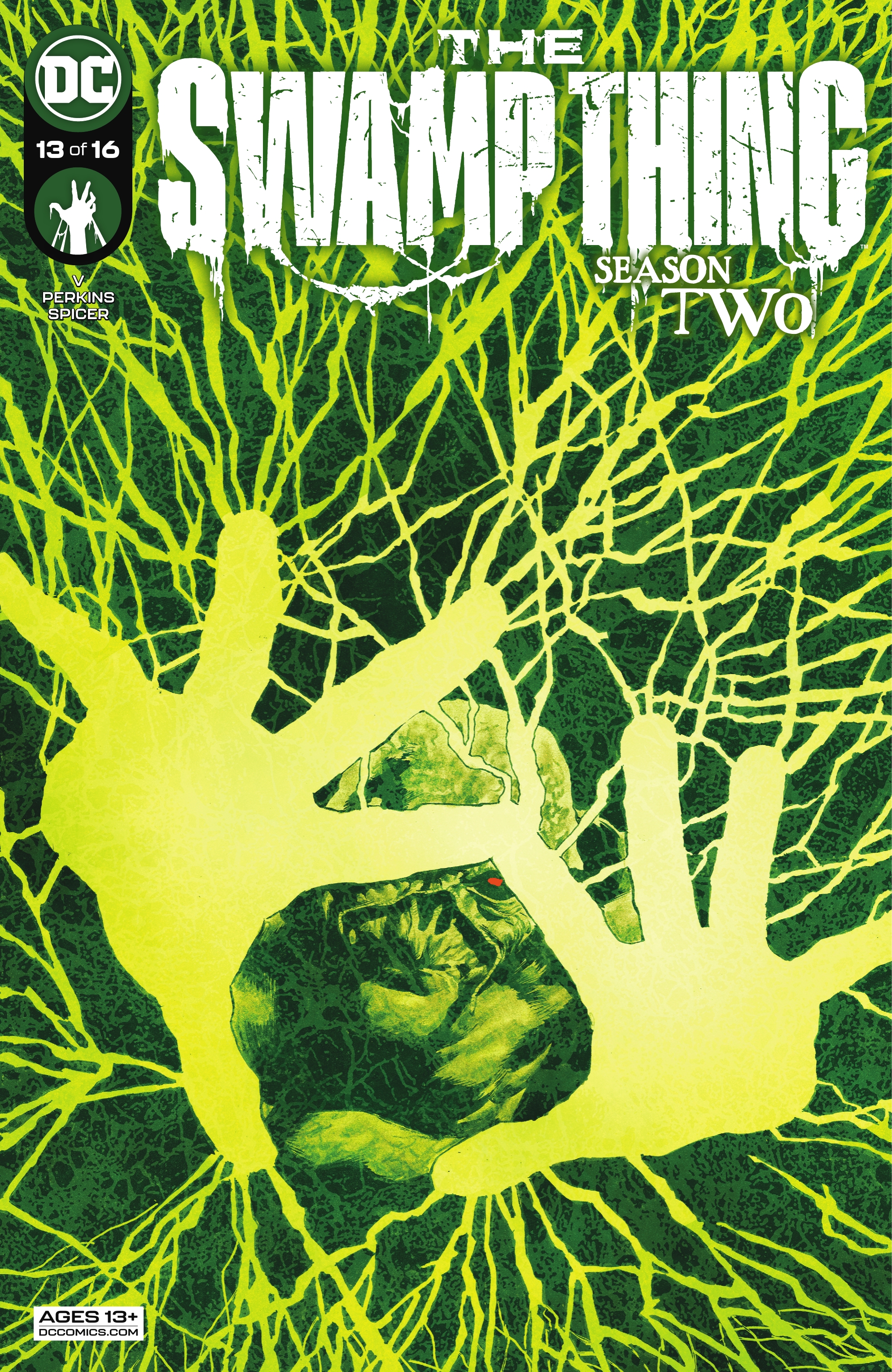 Read online The Swamp Thing comic -  Issue #13 - 1