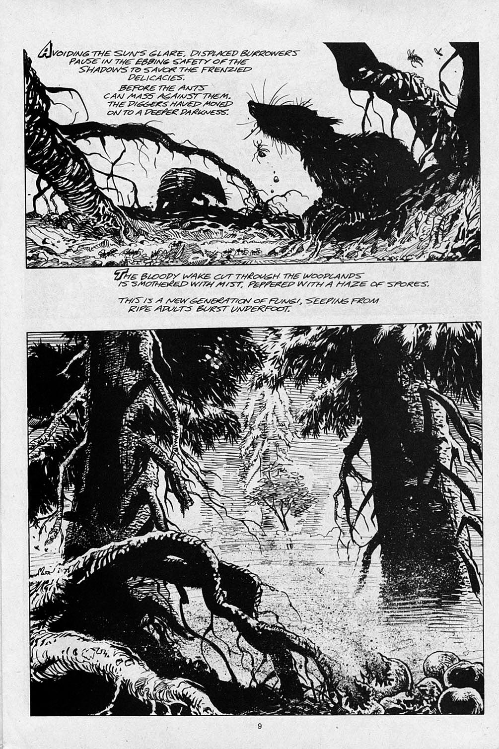 Read online S.R. Bissette's Tyrant comic -  Issue #2 - 11