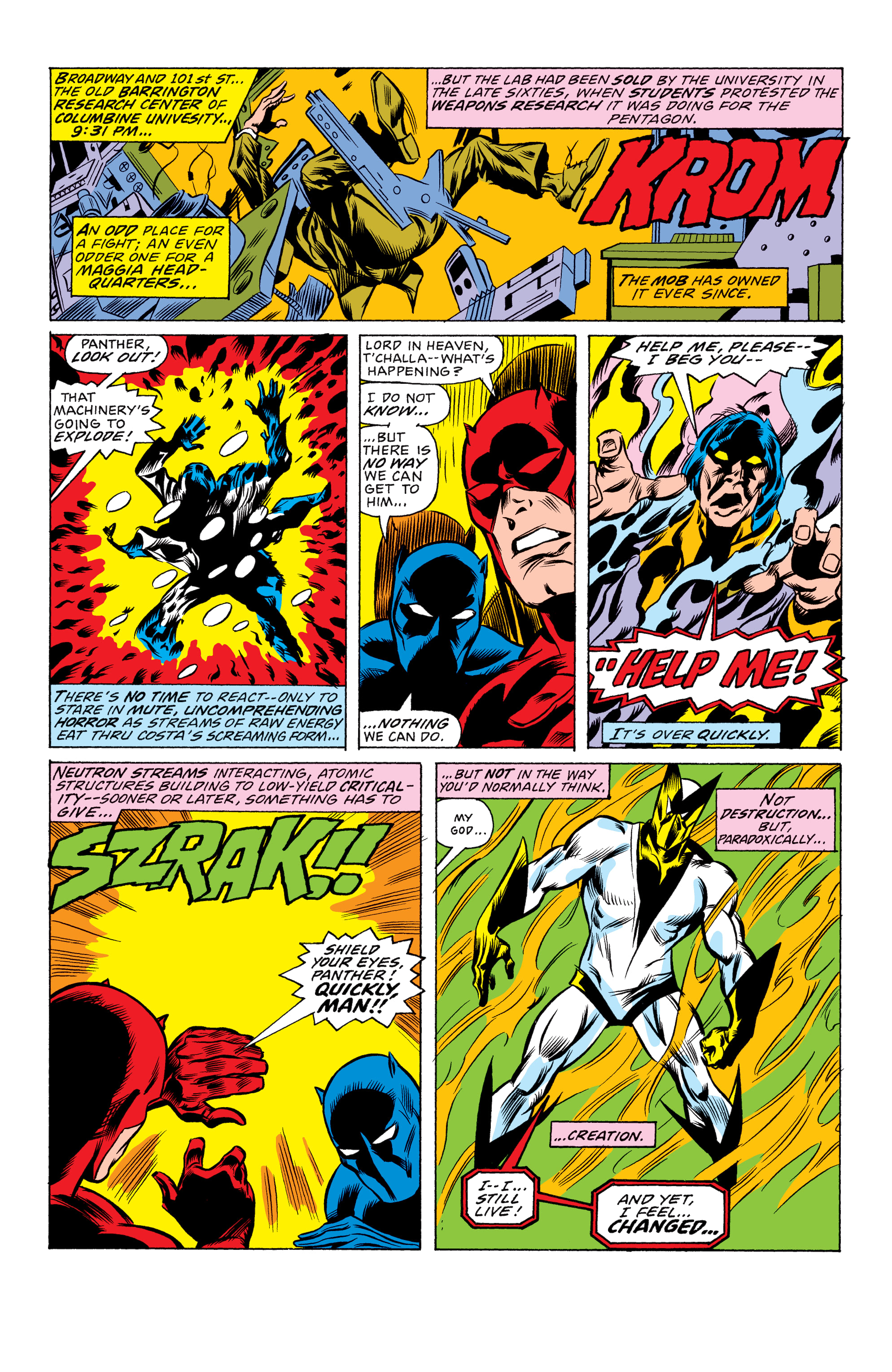 Read online Black Panther: The Early Years Omnibus comic -  Issue # TPB (Part 9) - 20