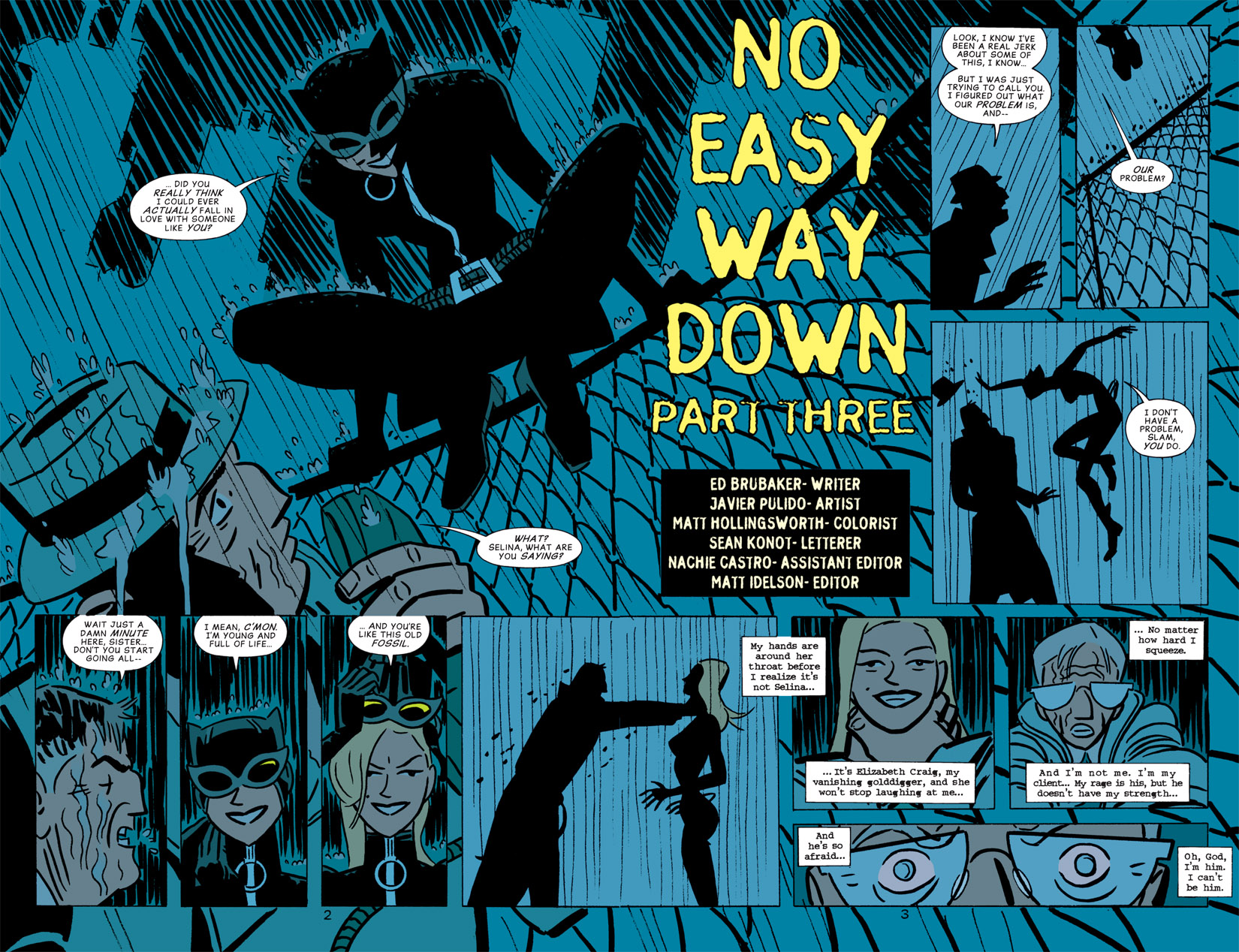 Read online Catwoman (2002) comic -  Issue #19 - 3