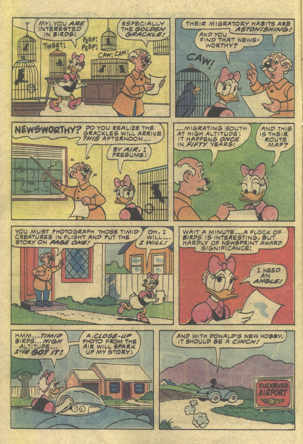 Read online Walt Disney Daisy and Donald comic -  Issue #52 - 12