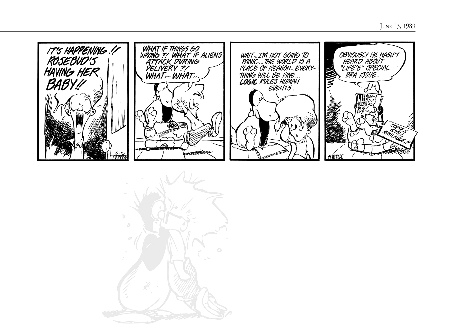 Read online The Bloom County Digital Library comic -  Issue # TPB 9 (Part 2) - 72