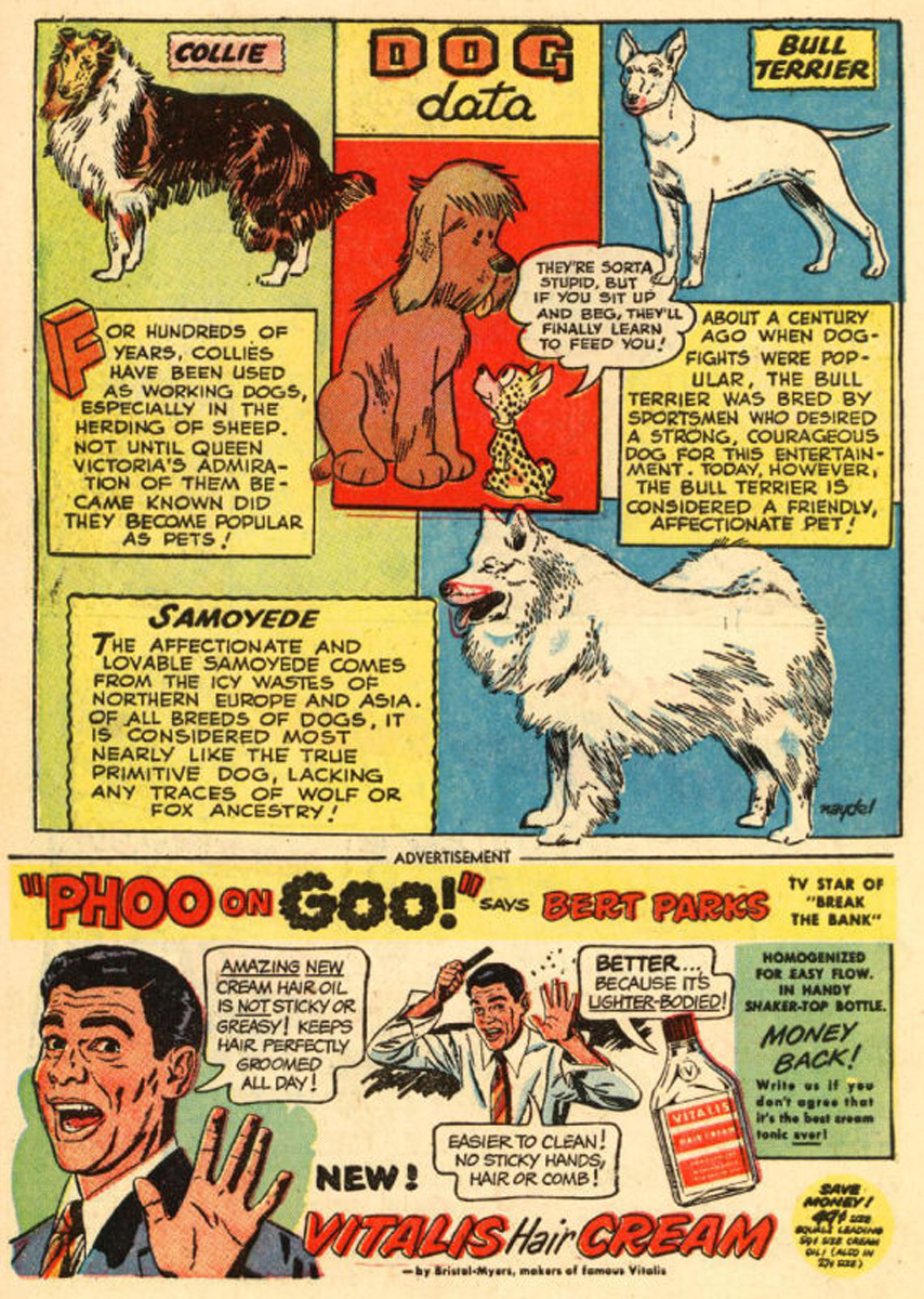 Read online The Adventures of Rex the Wonder Dog comic -  Issue #1 - 34