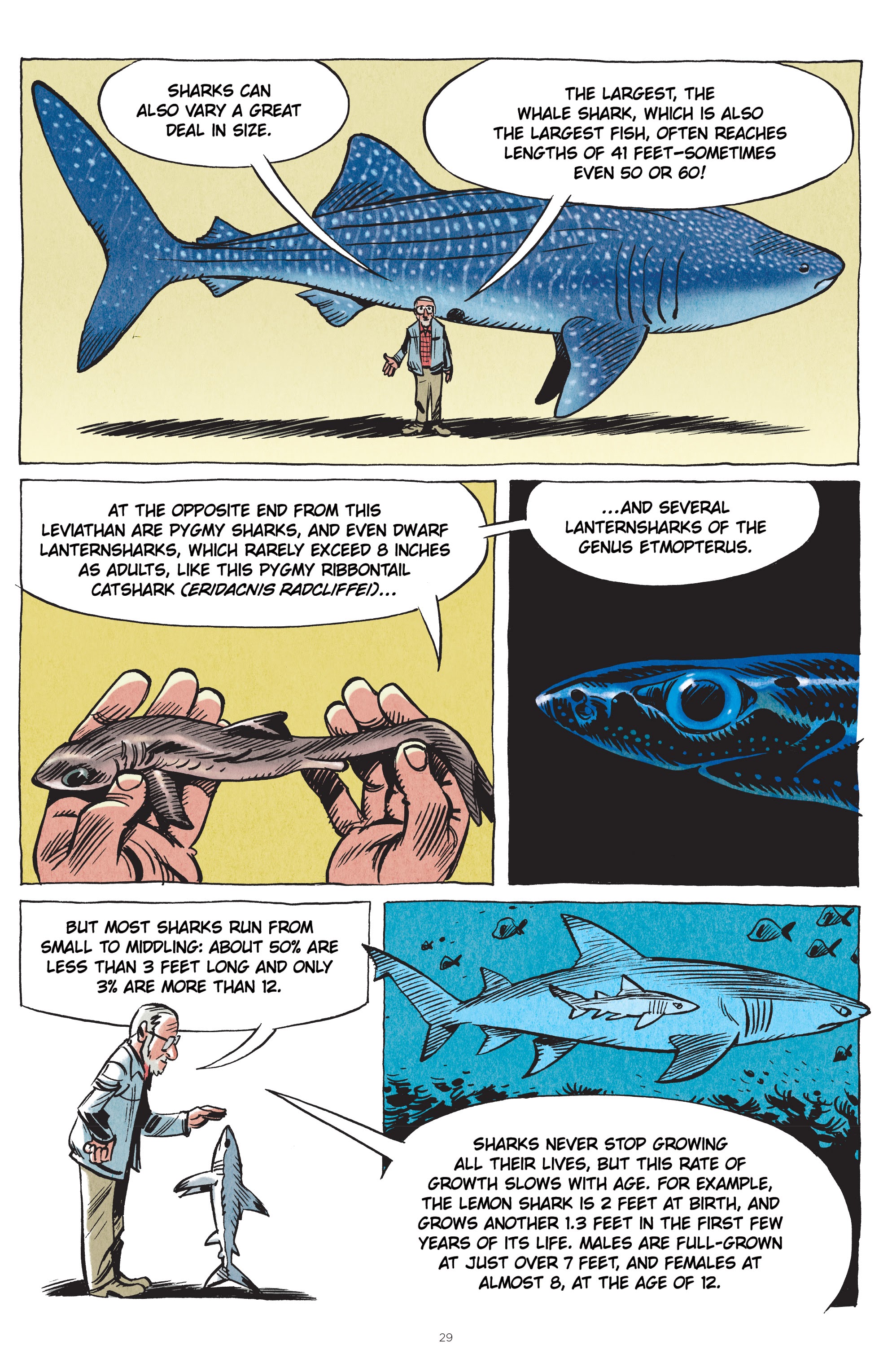 Read online Little Book of Knowledge: Sharks comic -  Issue # TPB - 29