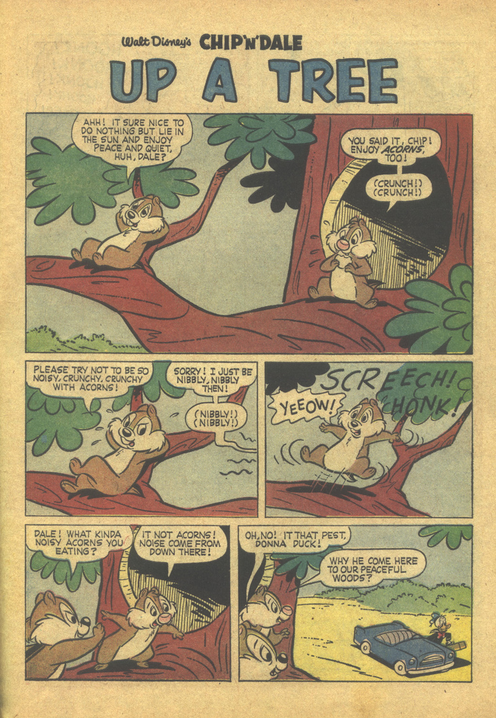 Read online Walt Disney's Chip 'N' Dale comic -  Issue #26 - 31