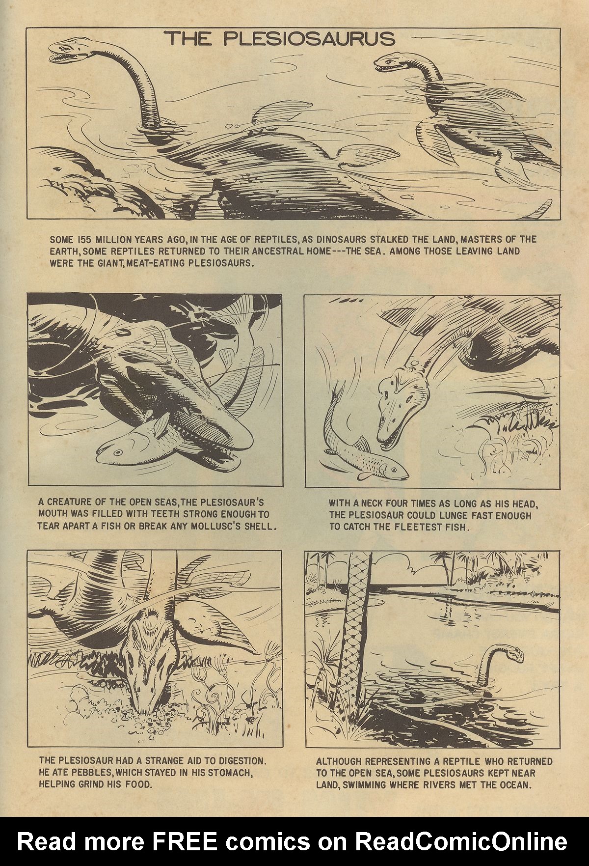 Read online Turok, Son of Stone comic -  Issue #20 - 35